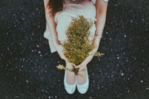 nhung co gai so yeu 1