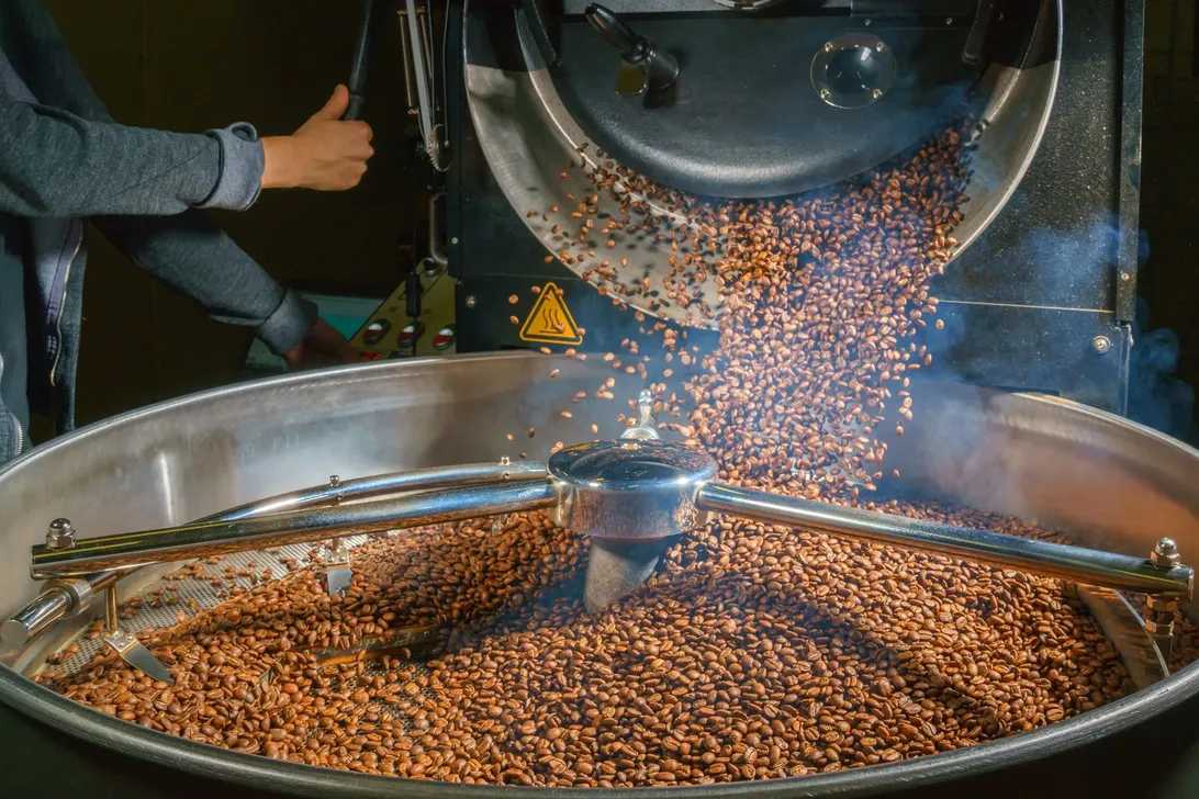 Bản chất hạt cà phê có cấu tạo hóa học không hề đơn giản